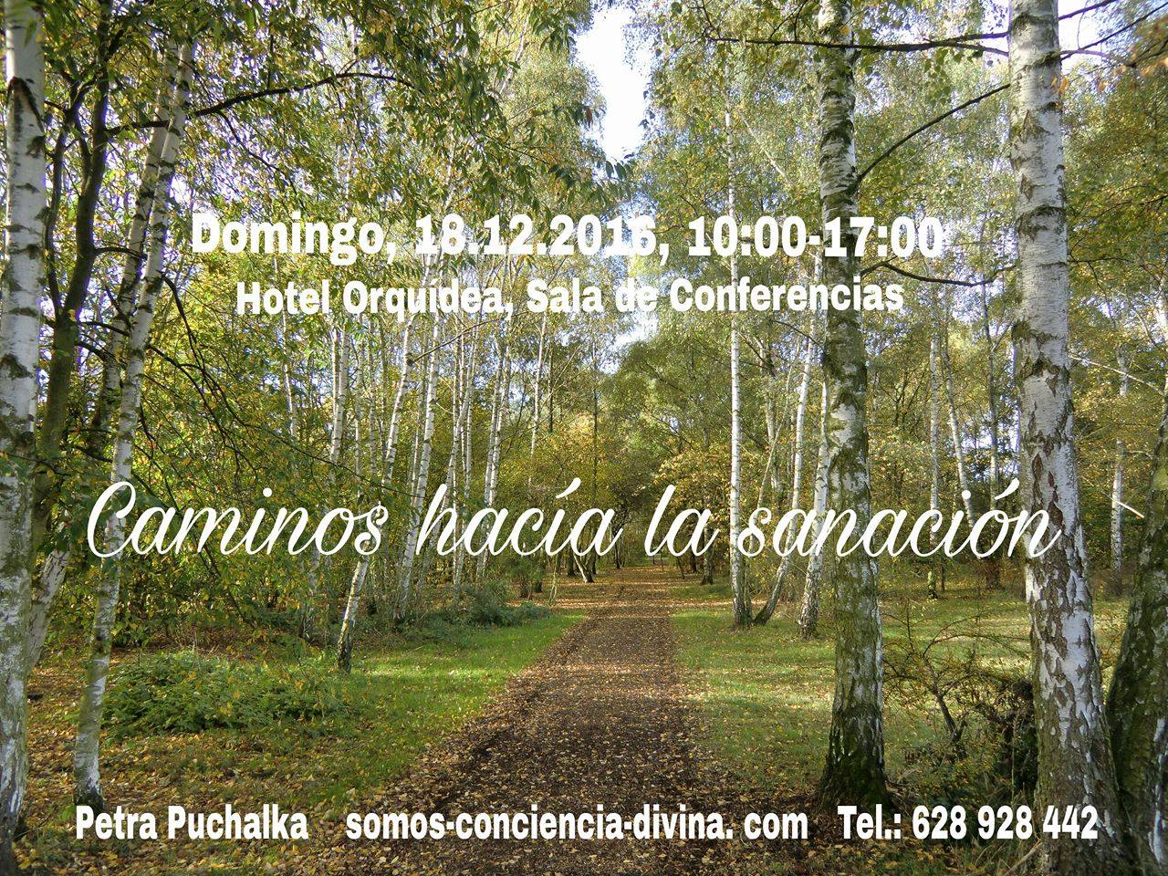 desarrolla tu intuición