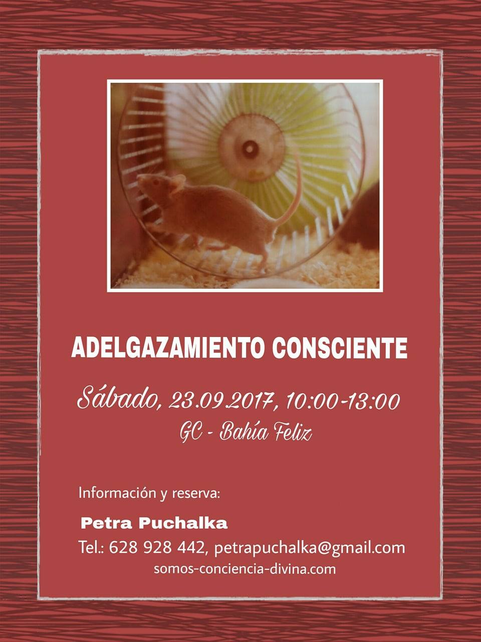 Descubre tu sabiduría interior